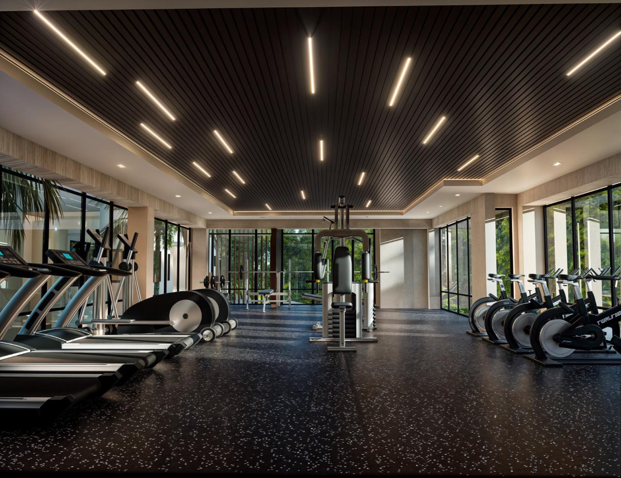 Gimnasio